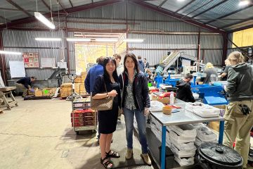 Cherry Và Trái Cây Tươi – Vị Ngọt Tinh Tuý Từ Khí Hậu Ôn Hoà